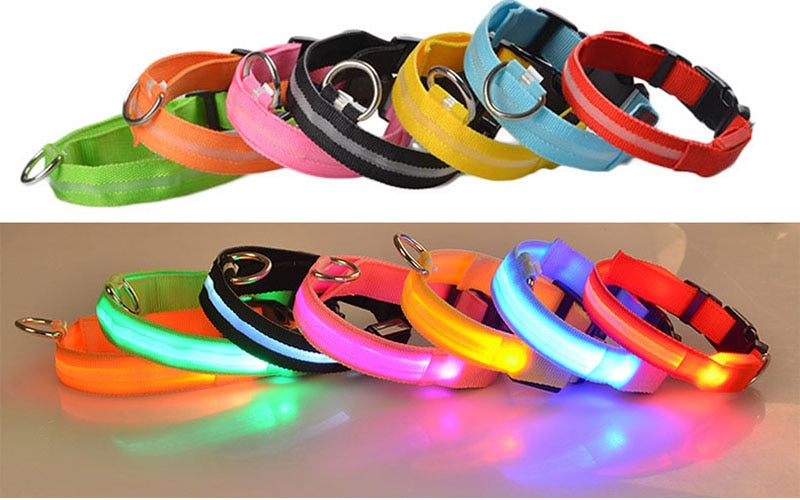 LED Dog Collar