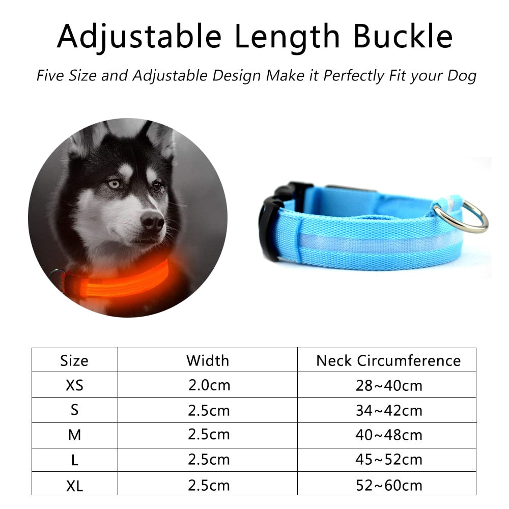 LED Dog Collar